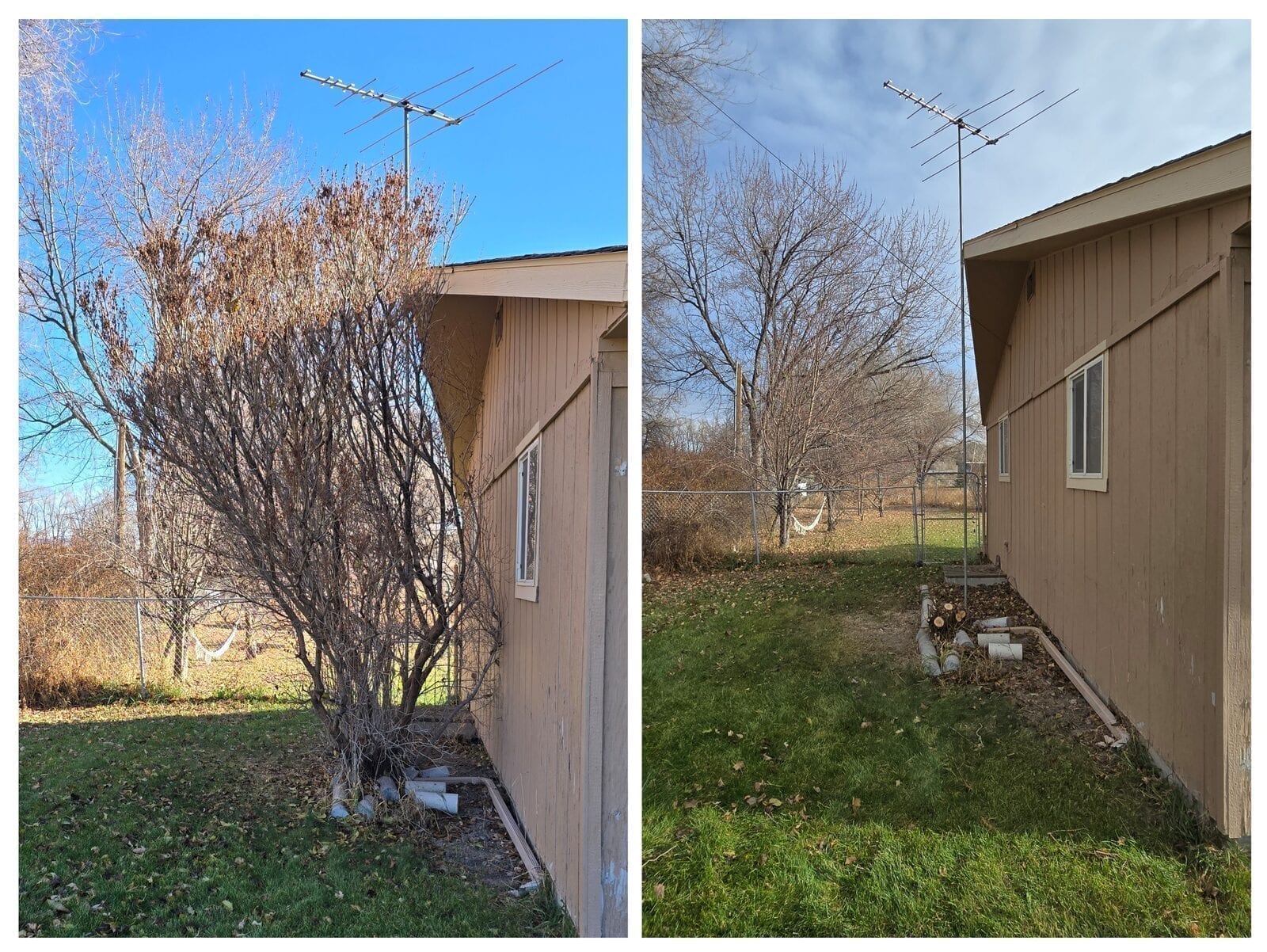Shrub removal service showing overgrown bushes completely removed and area cleaned up