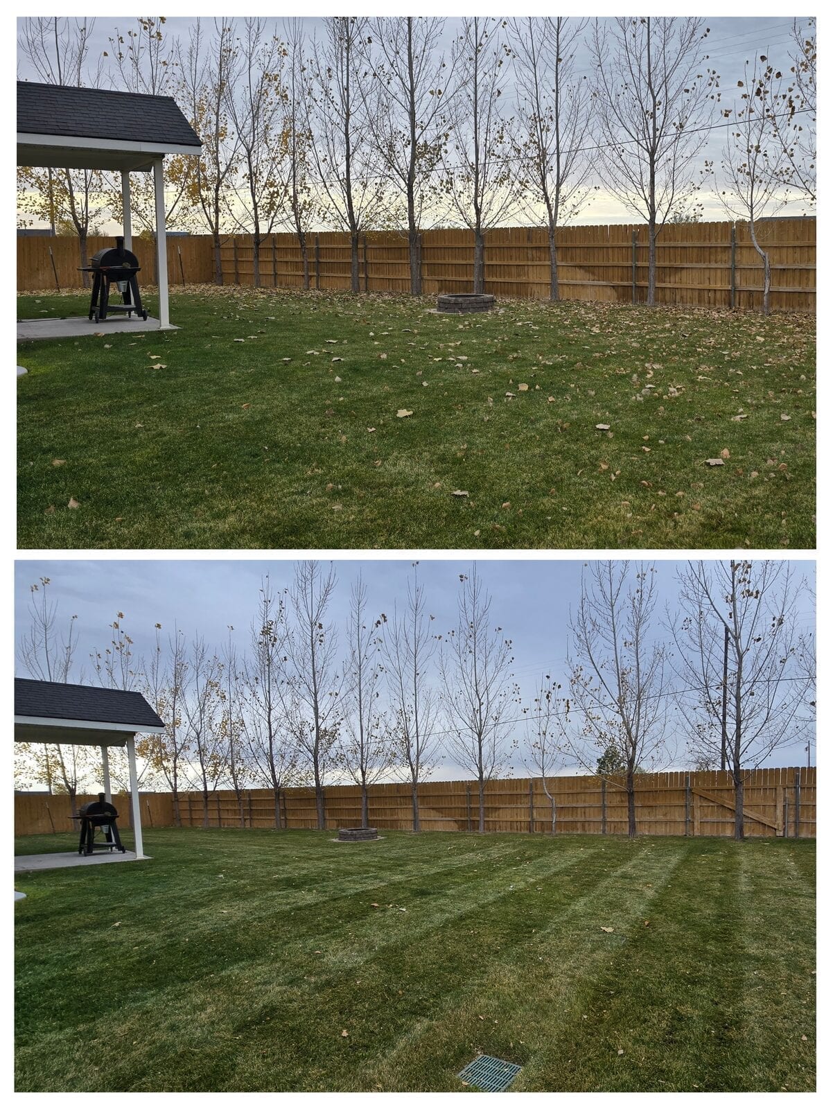 Property cleanup showing leaf-covered yard transformed to clean, debris-free lawn