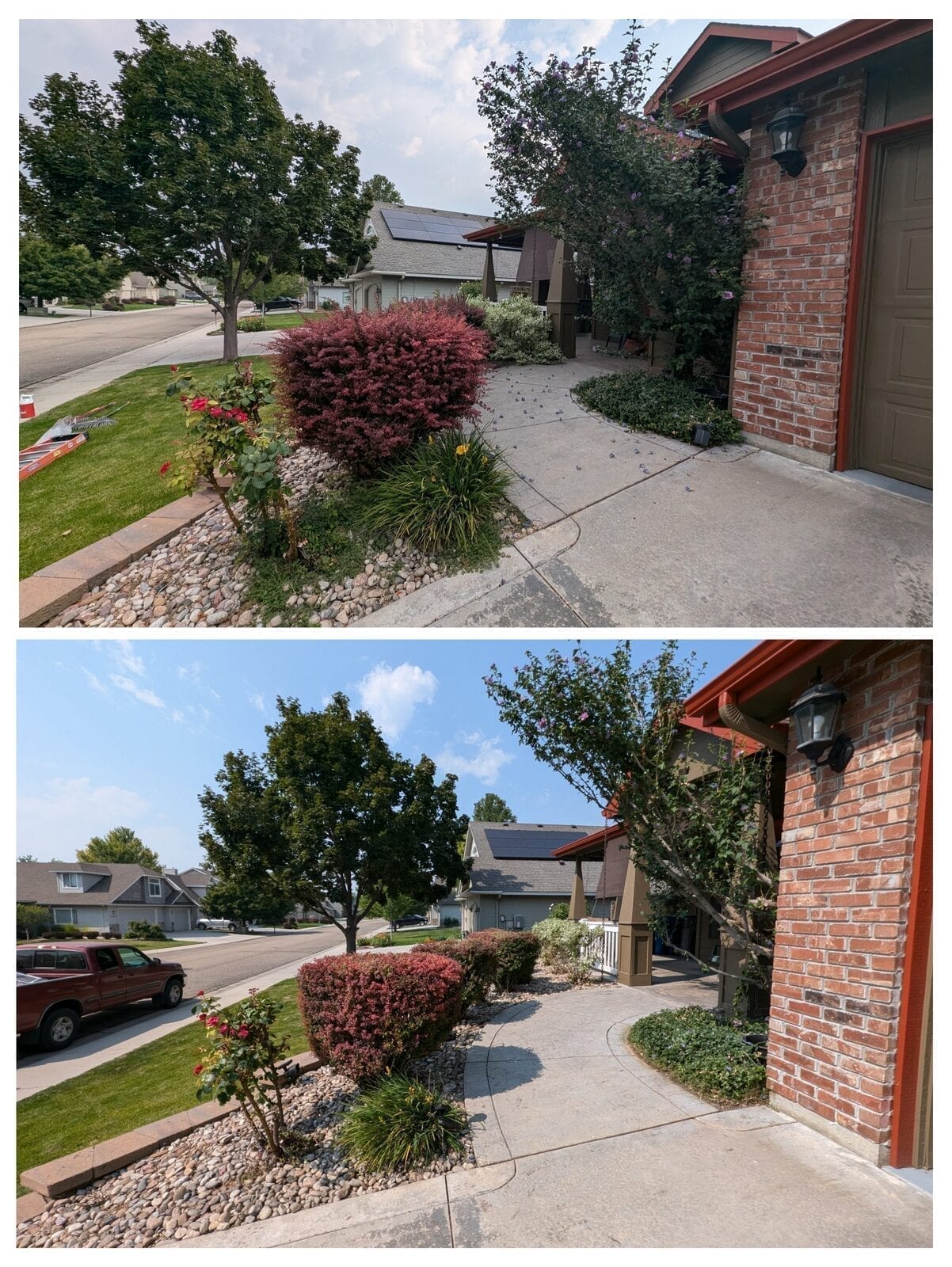 Before photo showing severely overgrown backyard with weeds transformed to clean, maintained outdoor space